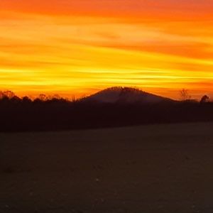 Meet your Posher, Virginia